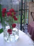 DSC00019.JPG
