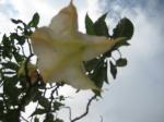 IMG_1963.jpg