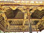 IMG_2155.jpg