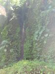 IMG_2162.jpg