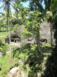 IMG_2164.jpg