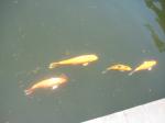 IMG_2185.jpg