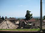 IMG_2227.jpg