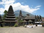 IMG_2232.jpg