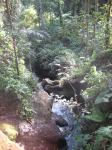 IMG_2245.jpg